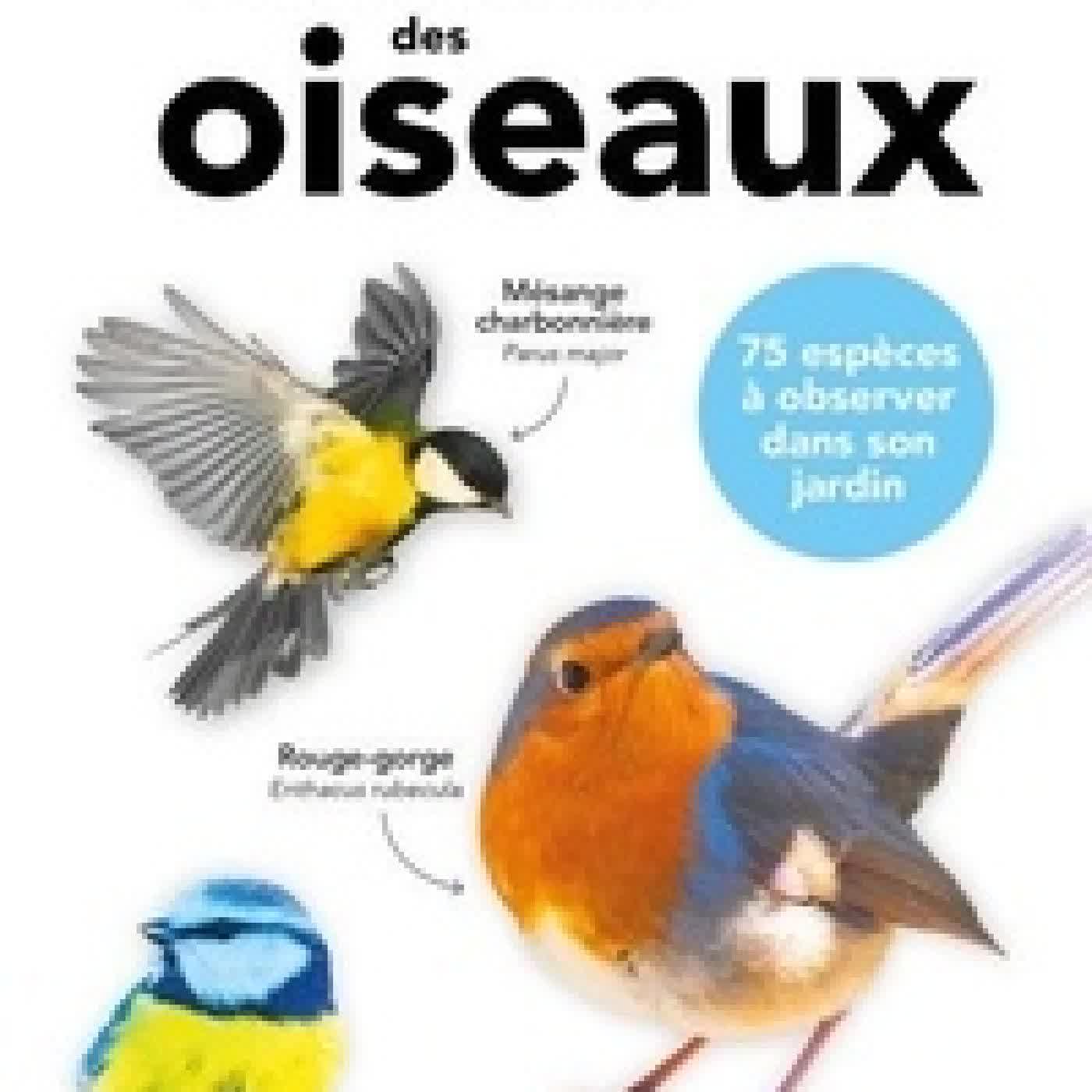 Télécharger Pdf Petit guide d'identification des oiseaux