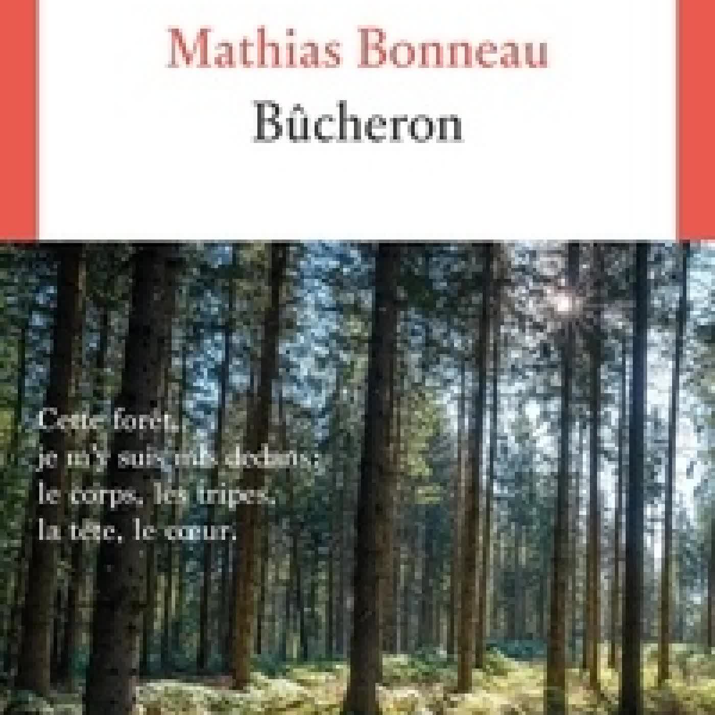 Télécharger Pdf Bûcheron