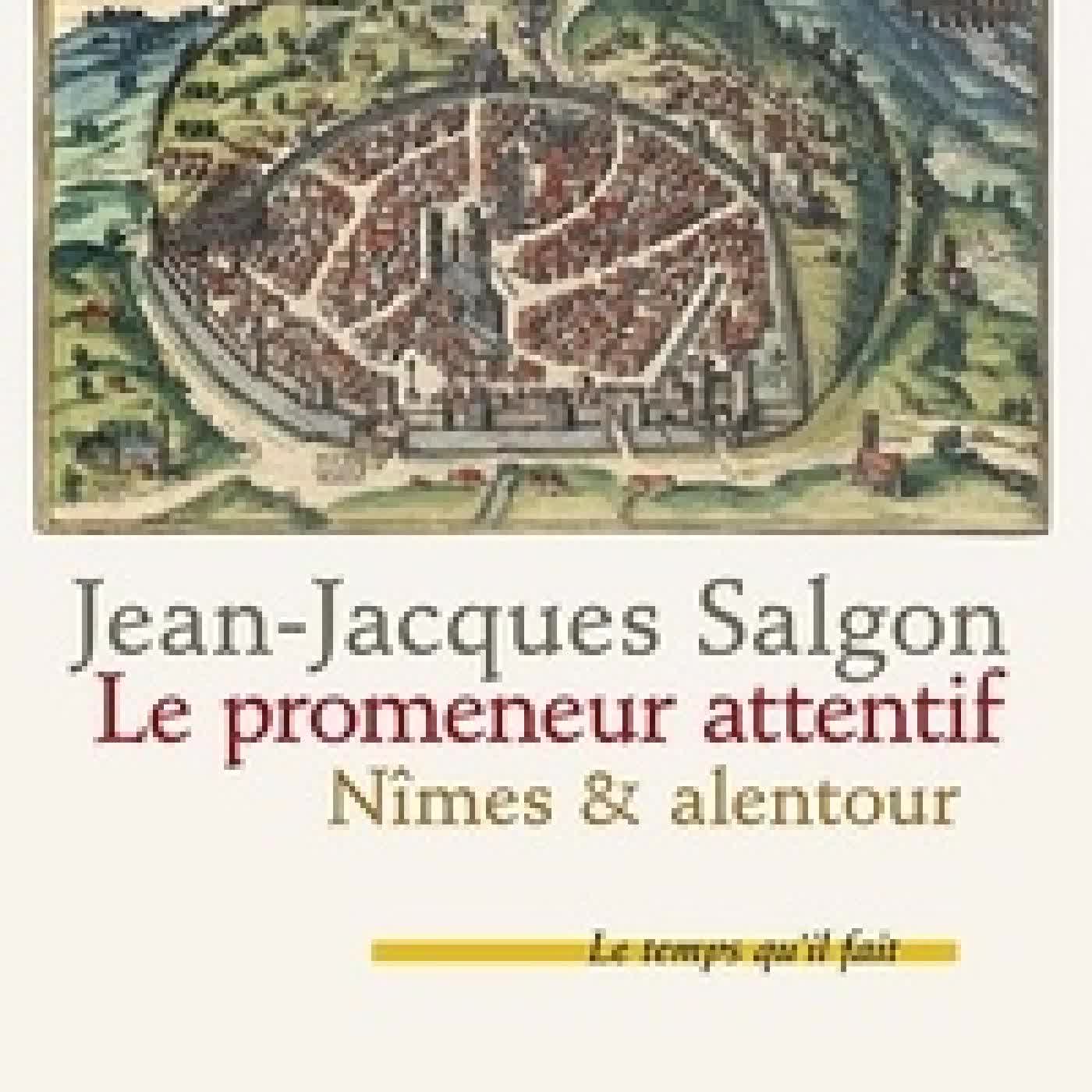 Lire en ligne : Le promeneur attentif - Nîmes & alentour