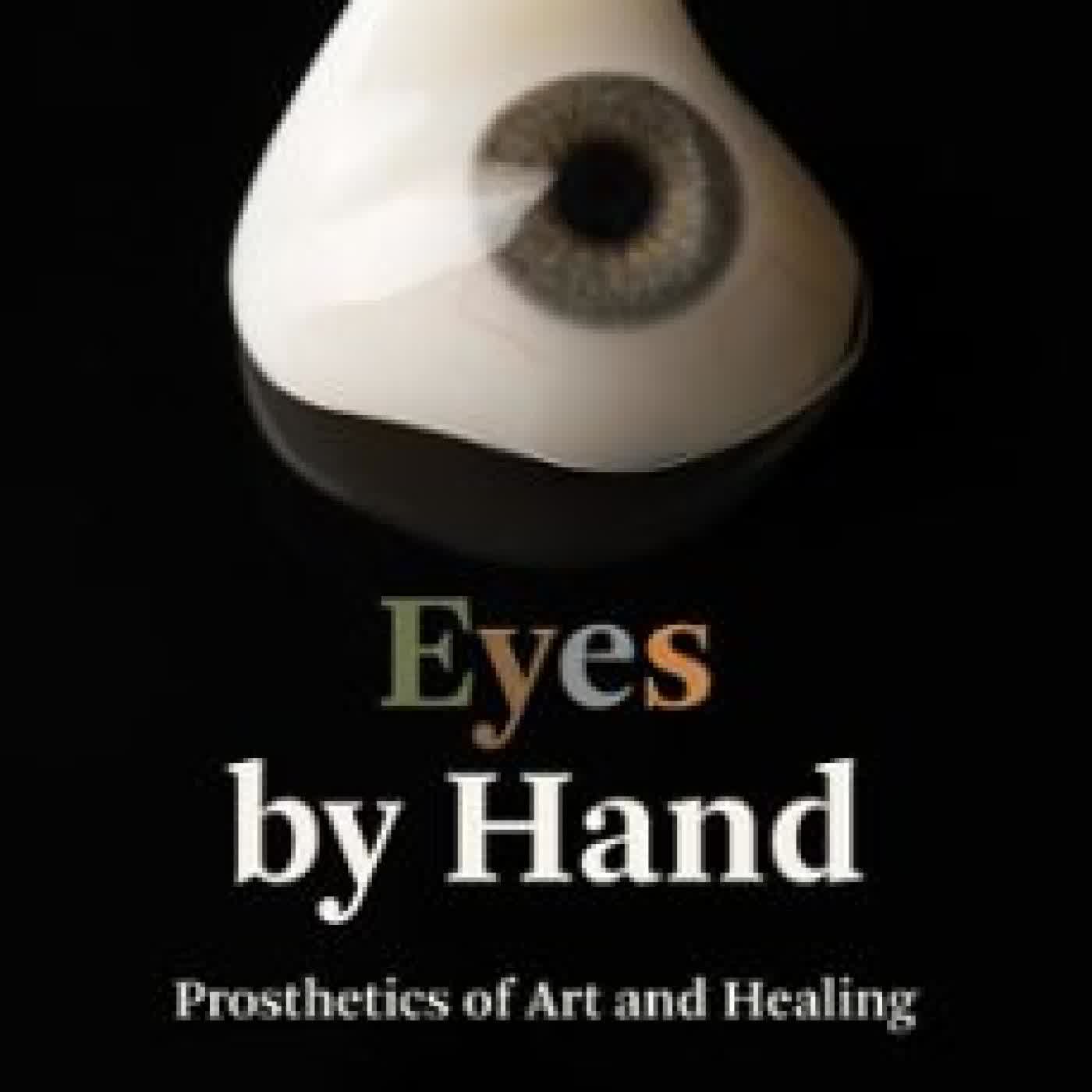 EYES BY HAND DAN ROCHE