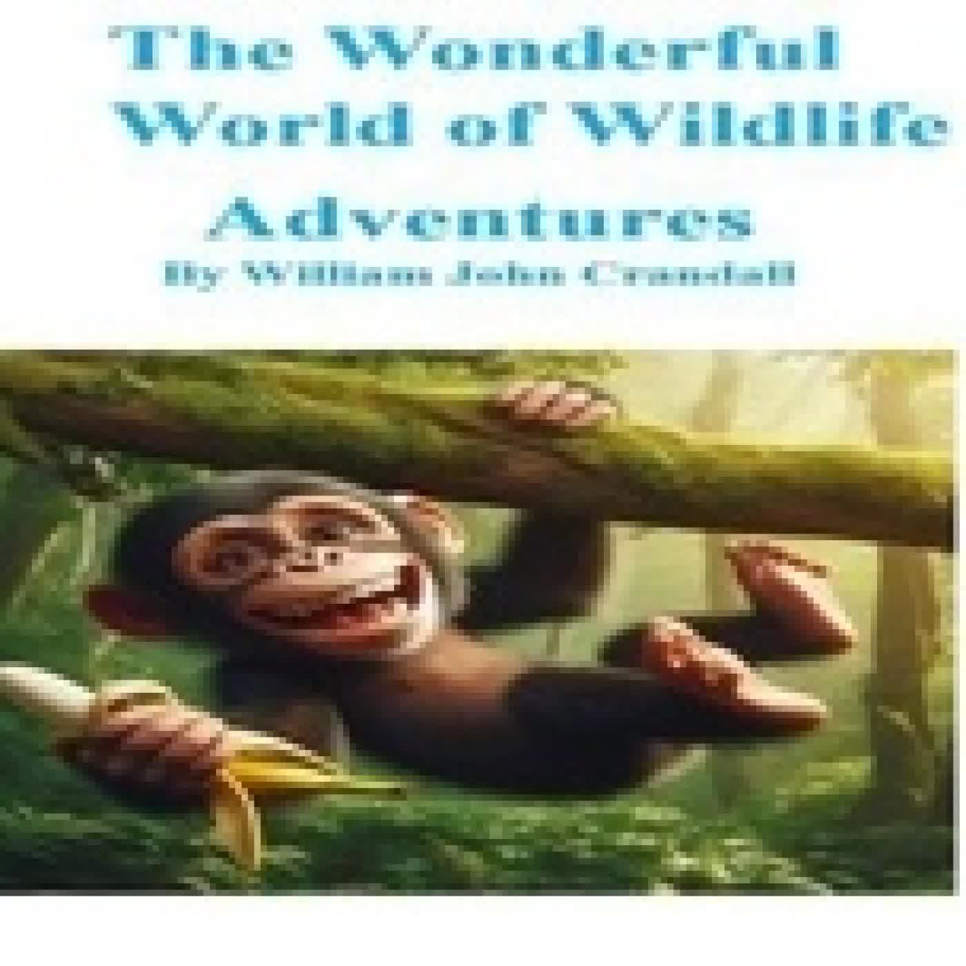 {téléchargement} The Wonderful World of Wildlife Adventures