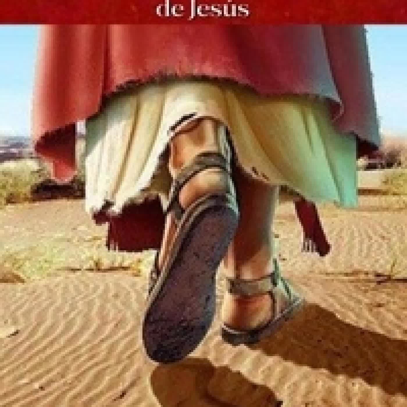 {téléchargement} Jesús: Comentarios sobre las palabras de Jesús