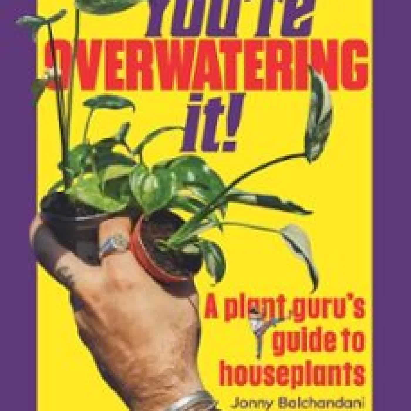 YOU'RE OVERWATERING IT! JONNY BALCHANDANI