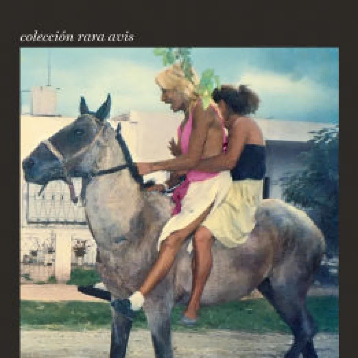 Las malas (Novela) / Bad Girls (A Novel) by Camila Sosa Villada on Iphone New Format