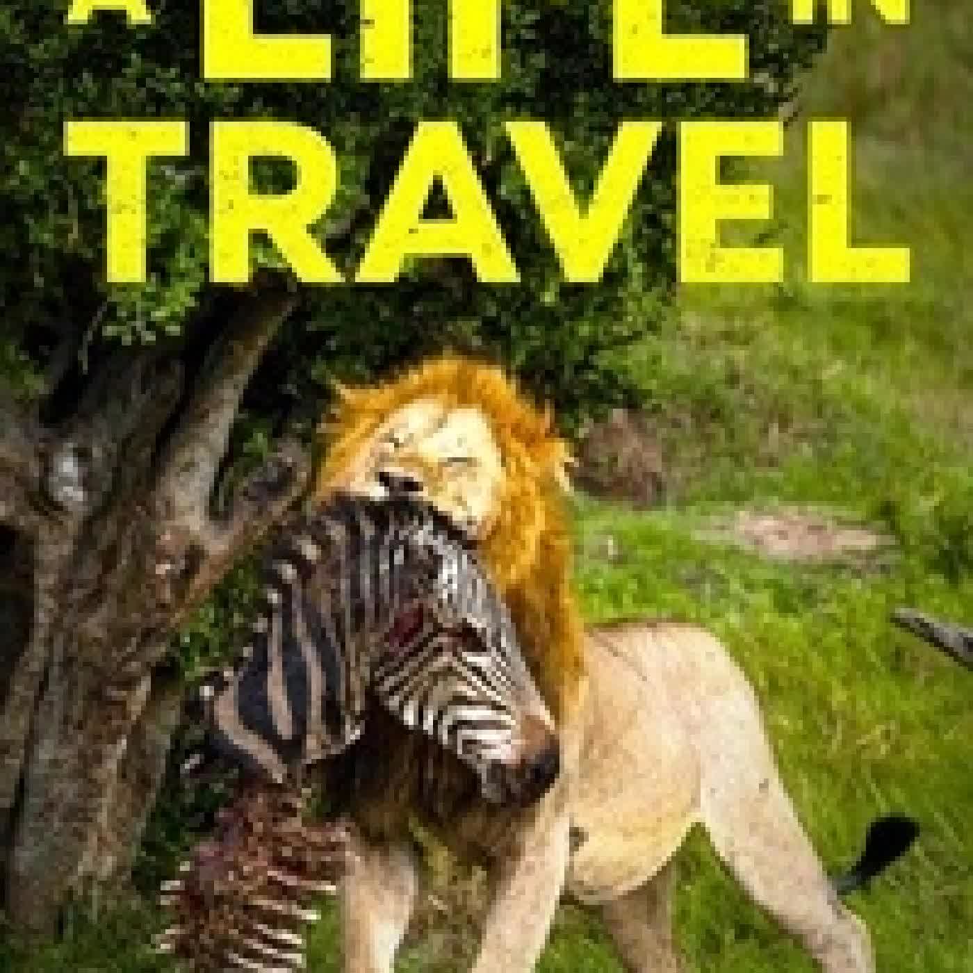 Télécharger Pdf A Life in Travel