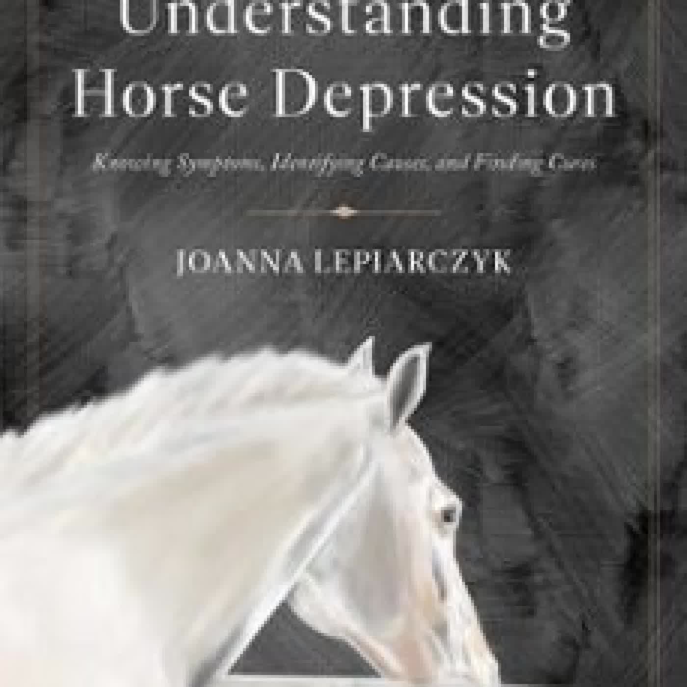 UNDERSTANDING HORSE DEPRESSION JOANNA LEPIARCZYK
