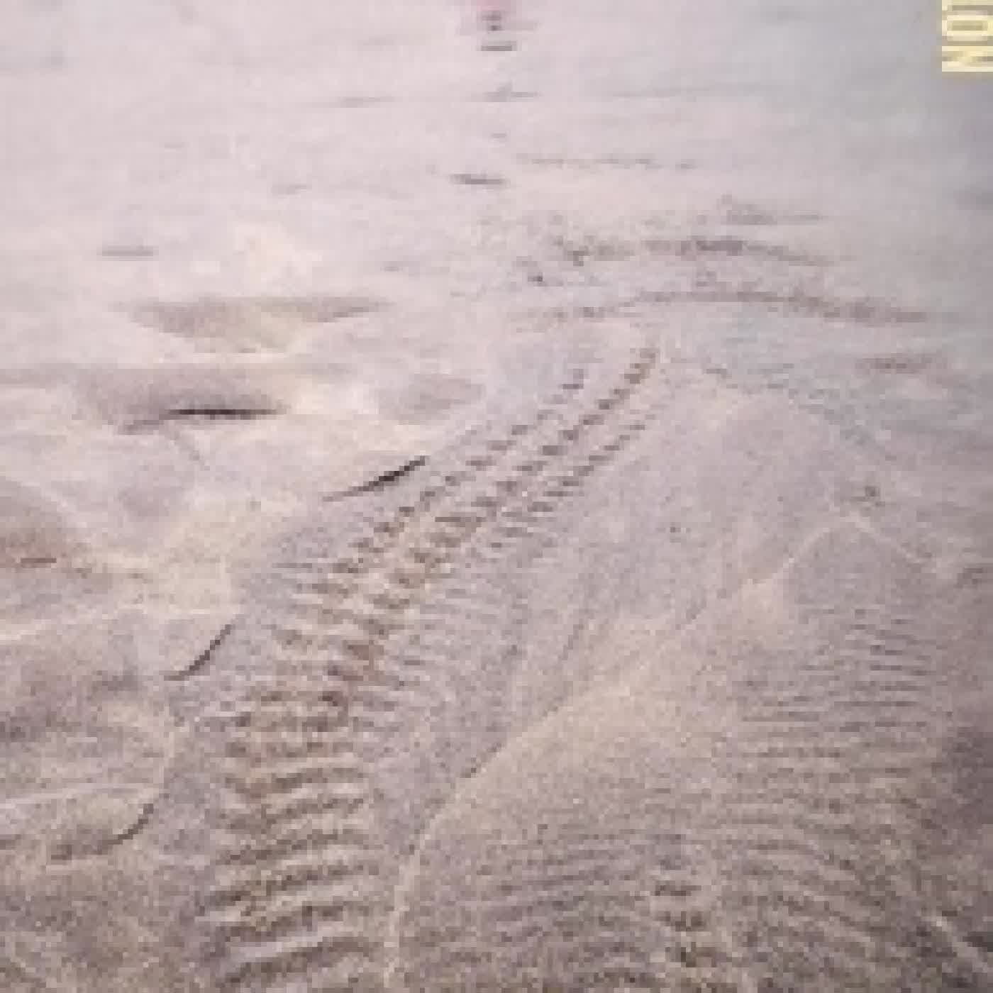 {téléchargement} La vie Ossécaille - Un an à Taipei