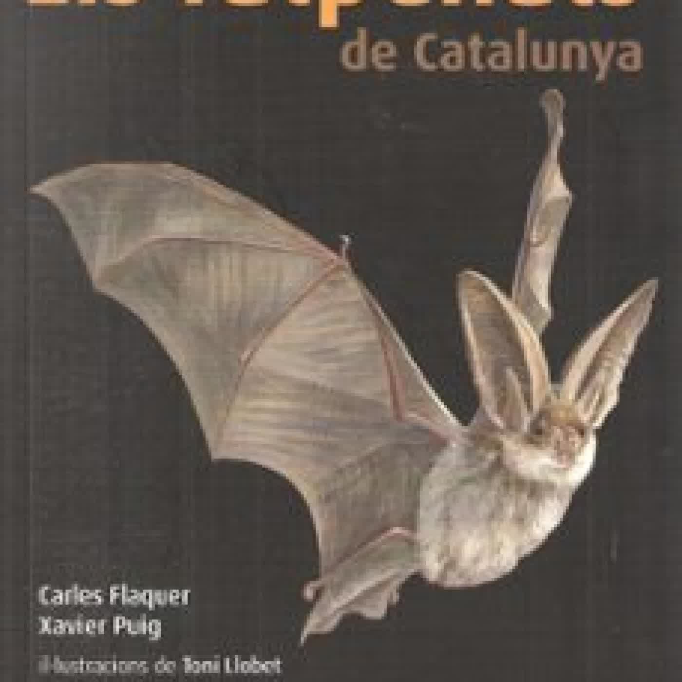 ELS RATPENATS A CATALUNYA CARLES FLAQUER, XAVIER PUIG PLA