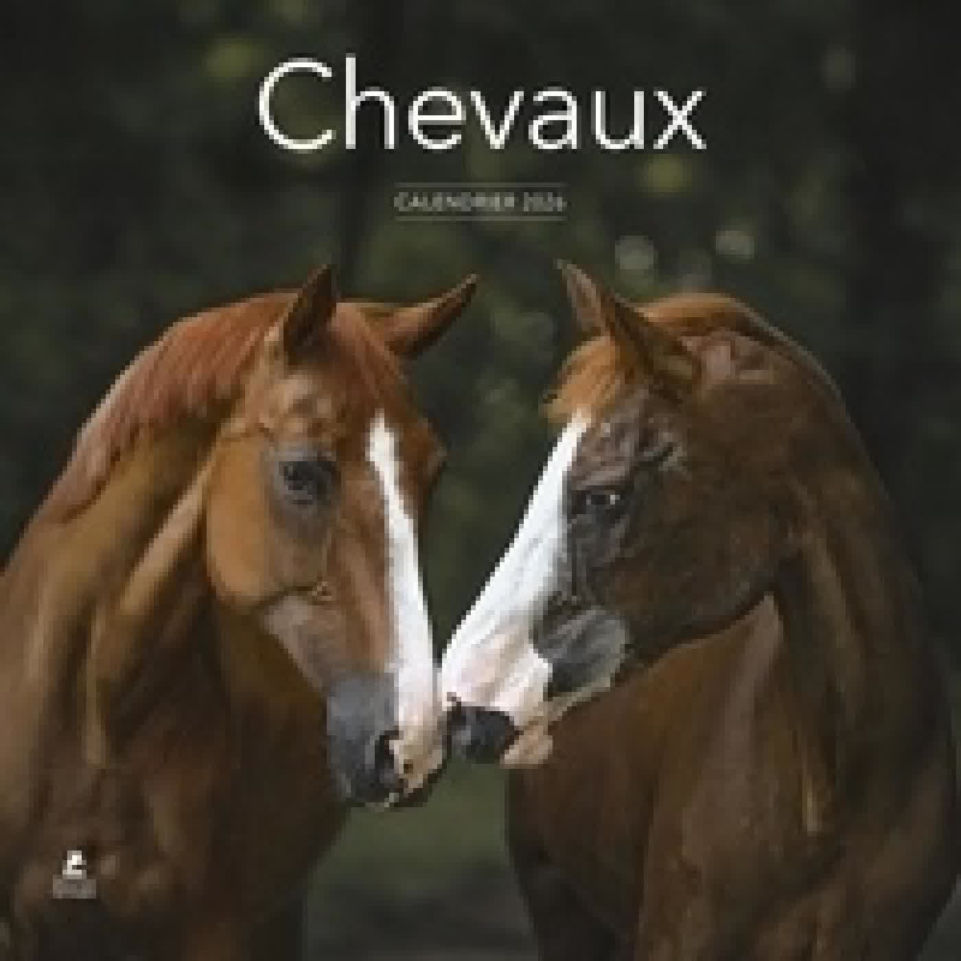 Lire en ligne : Calendrier Chevaux Edition 2026