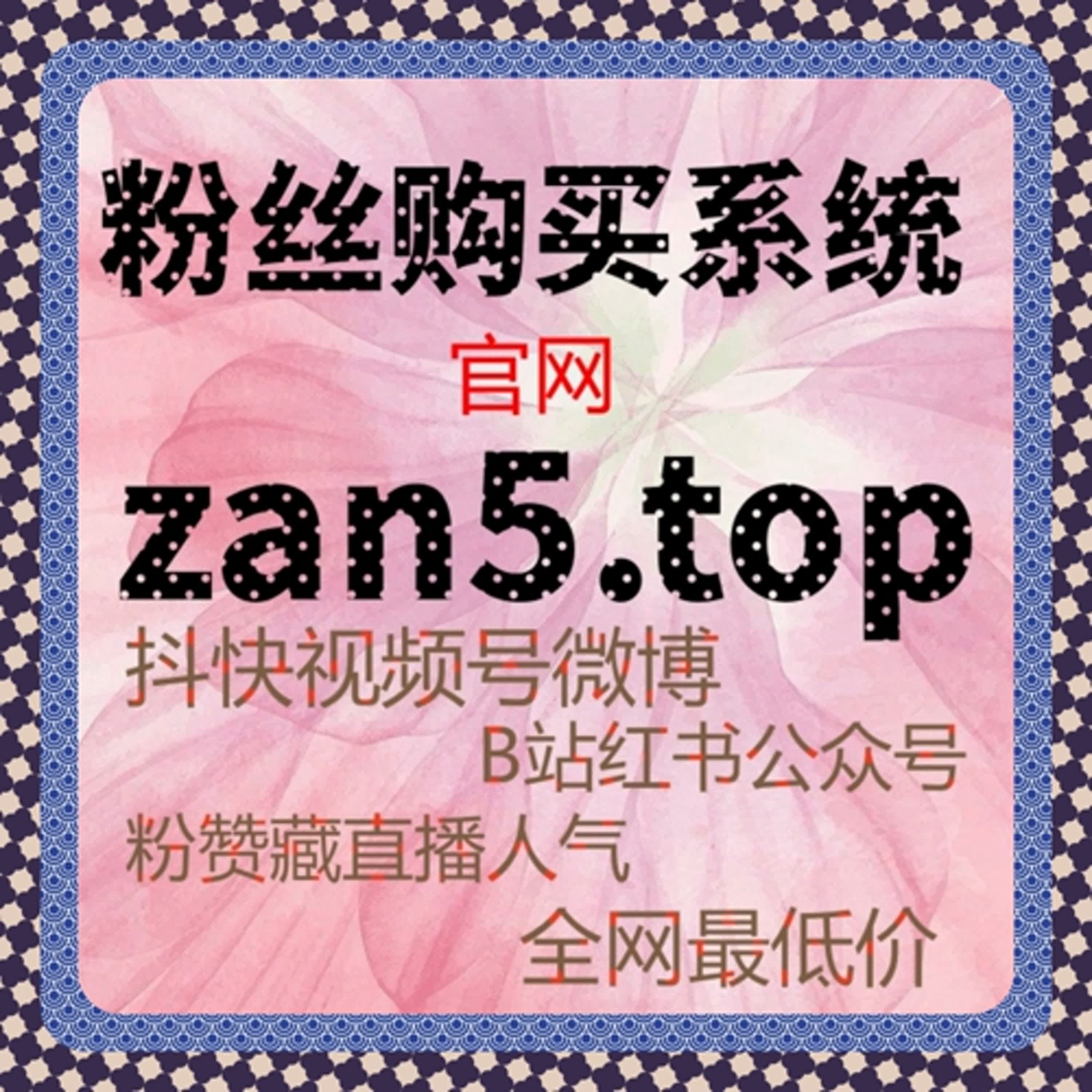 快手如何利用刷粉丝工具实现精准增粉，提升内容曝光量和互动率？ episode artwork