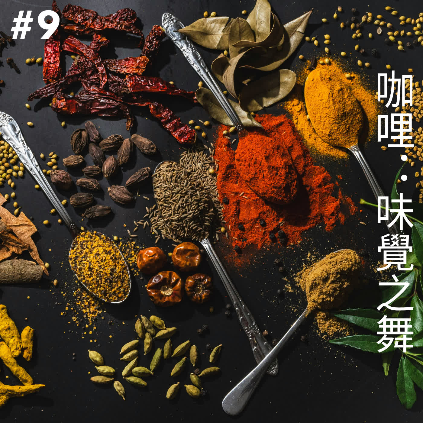 EP9 咖哩：味覺之舞 episode artwork