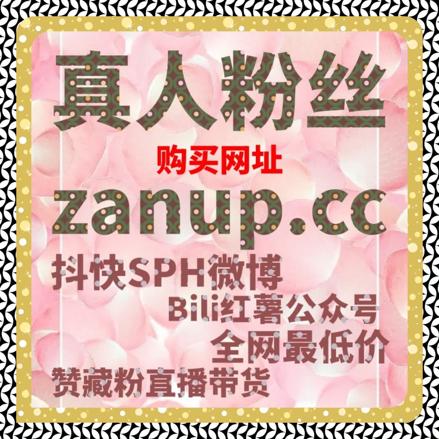 优化内容分发与互动，自动化平台让TikTok粉丝快速增长 episode artwork