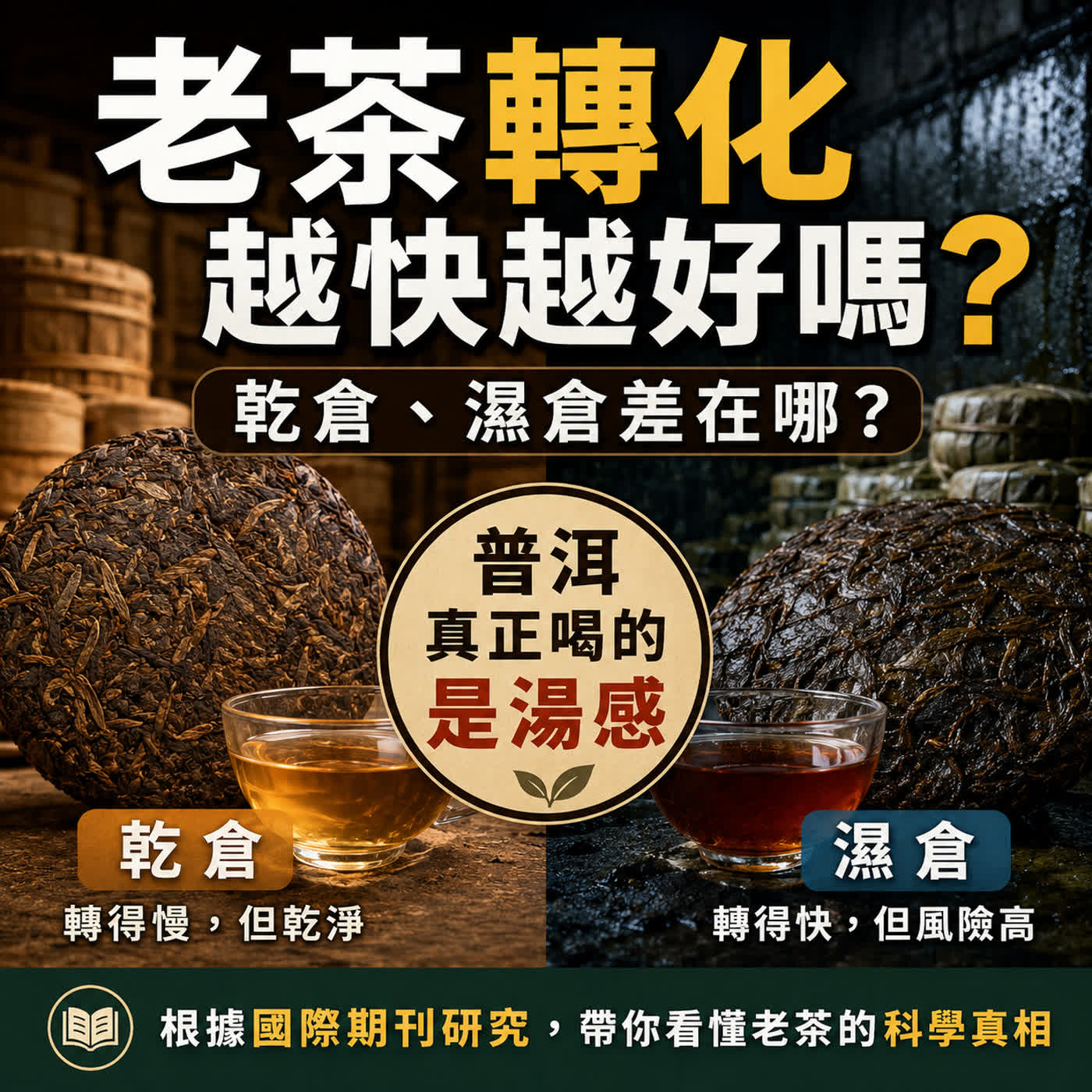 S2E10｜老茶轉化越快越好嗎？乾倉、濕倉差在哪，普洱真正喝的是湯感不是倉味 episode artwork