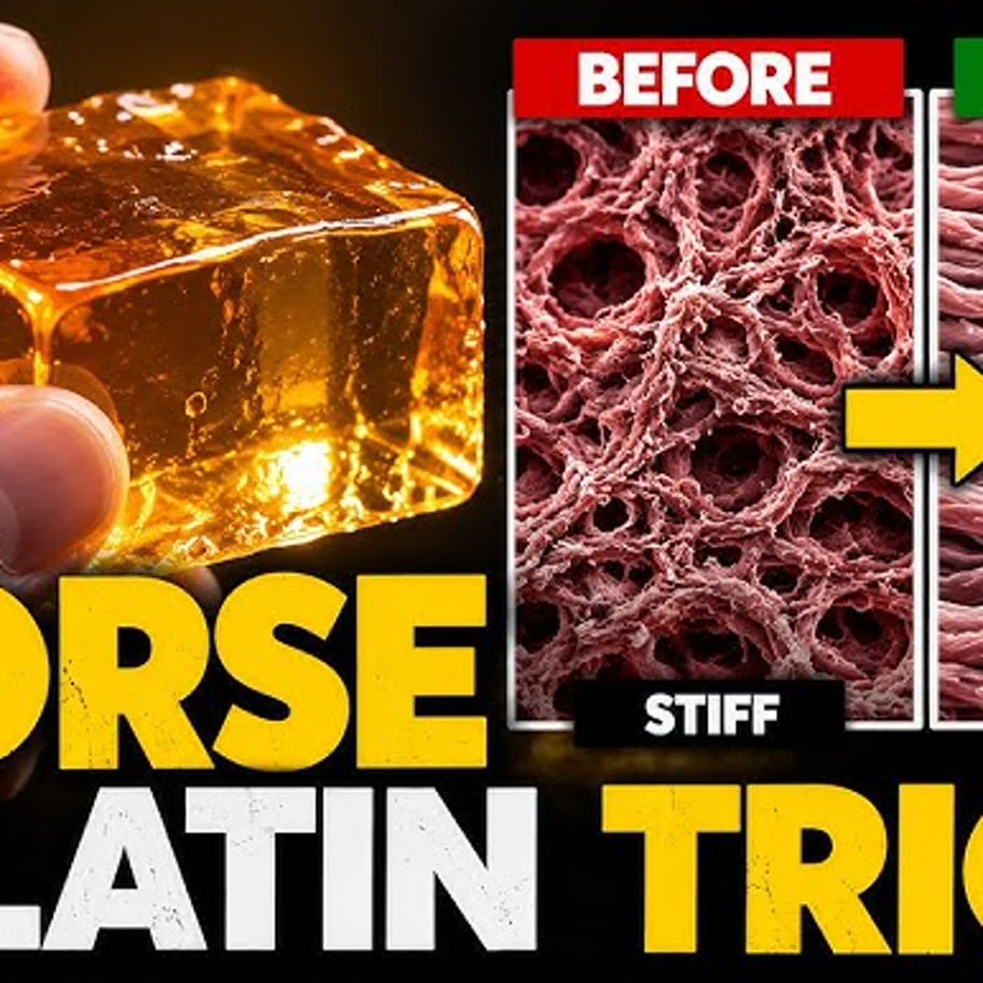 Horse Gelatin Male Enhancement Capsules โ Boost Energy and Endurance Naturally