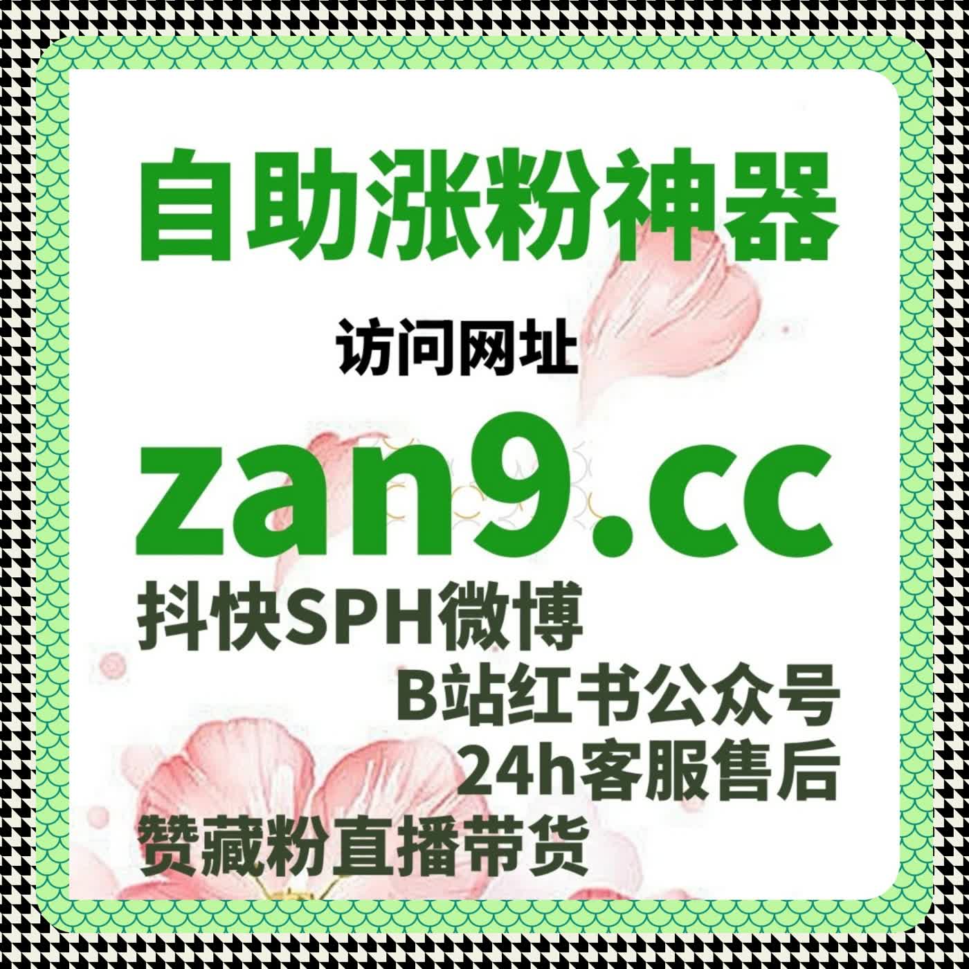 当你需要短时间验证市场反馈，流量提升方案往往比等待更高效 episode artwork