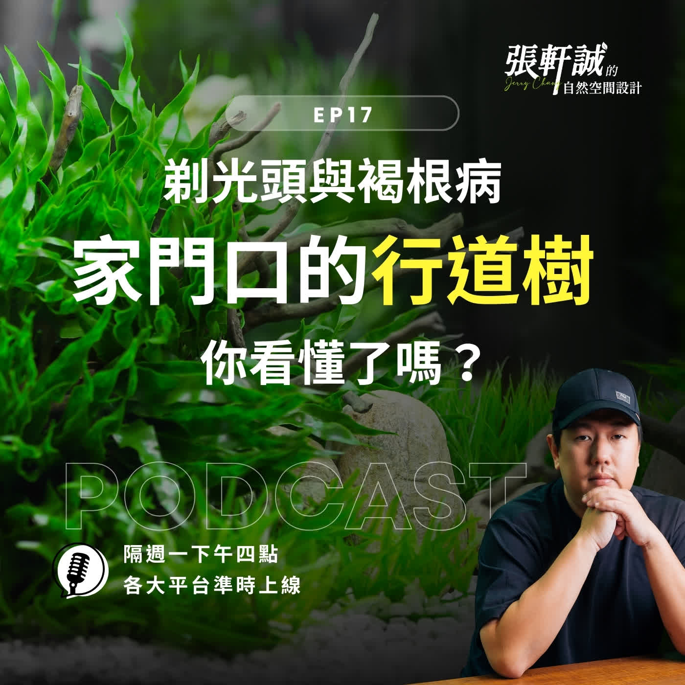 EP17｜「剃光頭」與褐根病！家門口的行道樹，你看懂了嗎？ episode artwork
