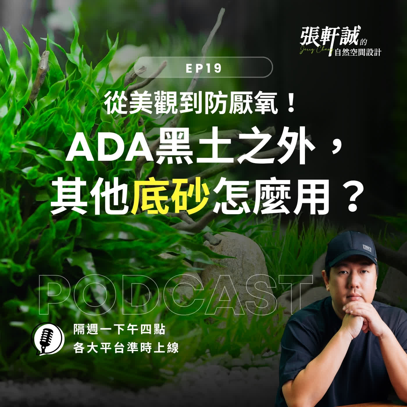 EP19|從美觀到防厭氧!ADA黑土之外,其他底砂怎麼用?
