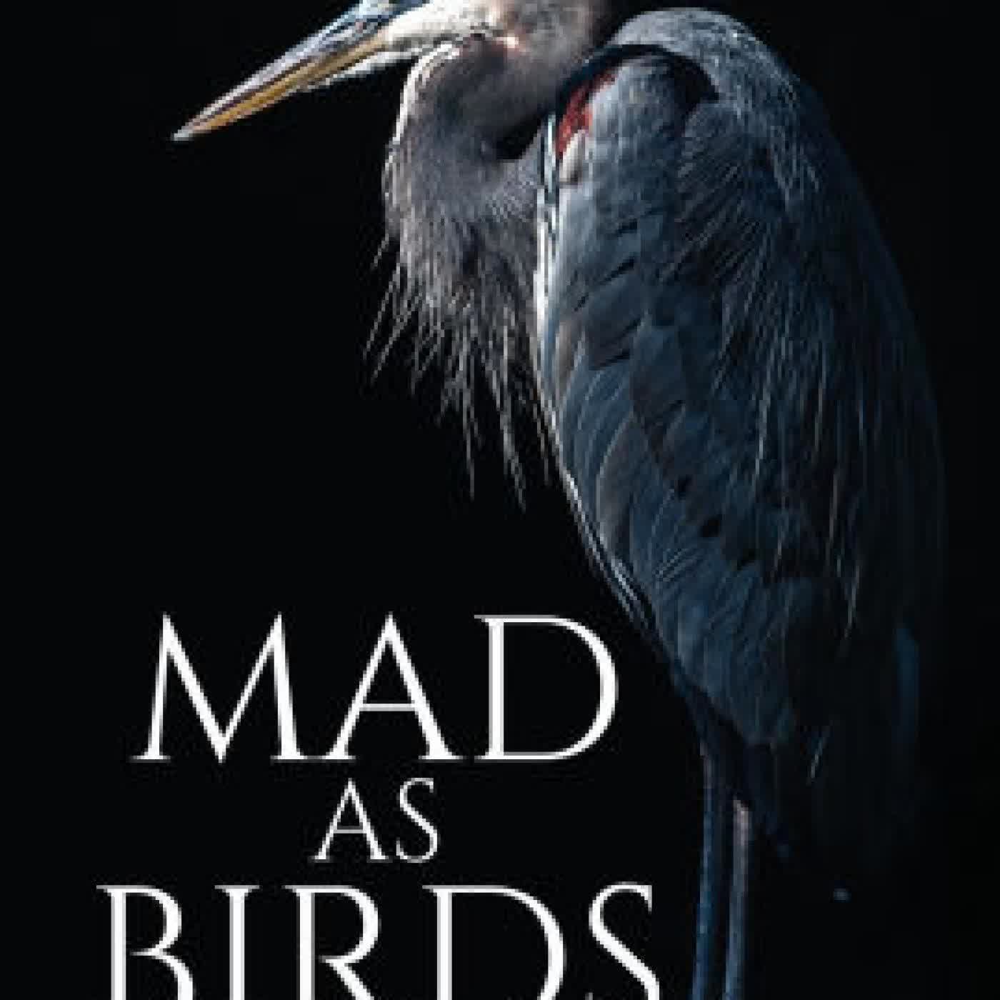 Mad as Birds by M C Schmidt on Iphone New Format