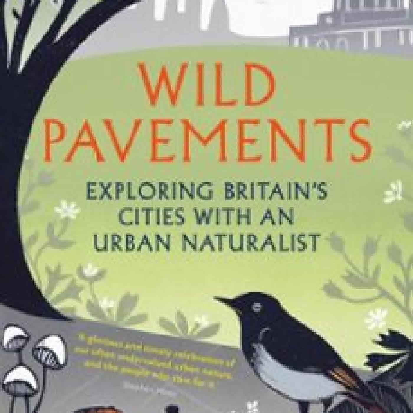 WILD PAVEMENTS AMANDA TUKE