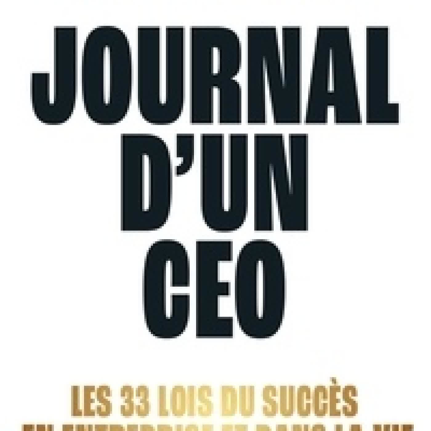 Lire en ligne : Journal d'un CEO - Les 33 lois du succès en entreprise et dans la vie