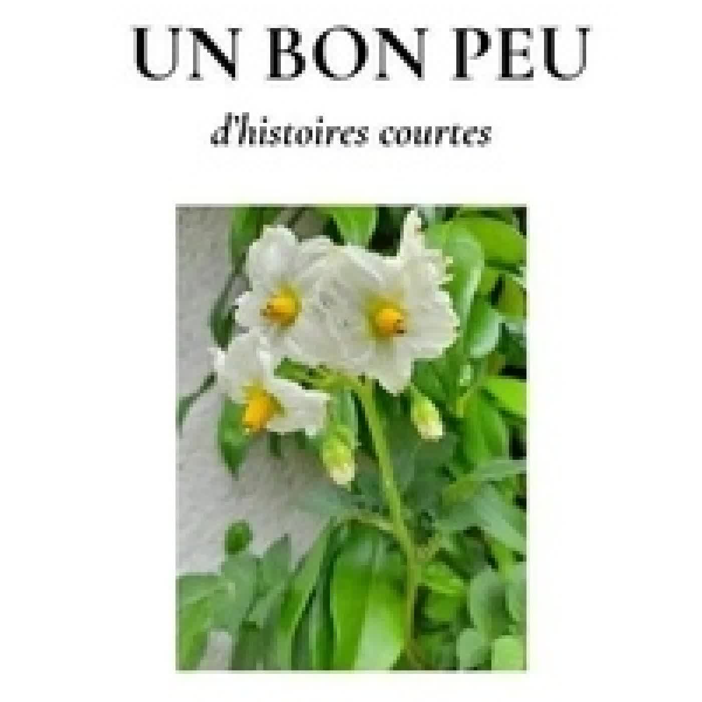 Télécharger Pdf Un bon peu - d'histoires courtes