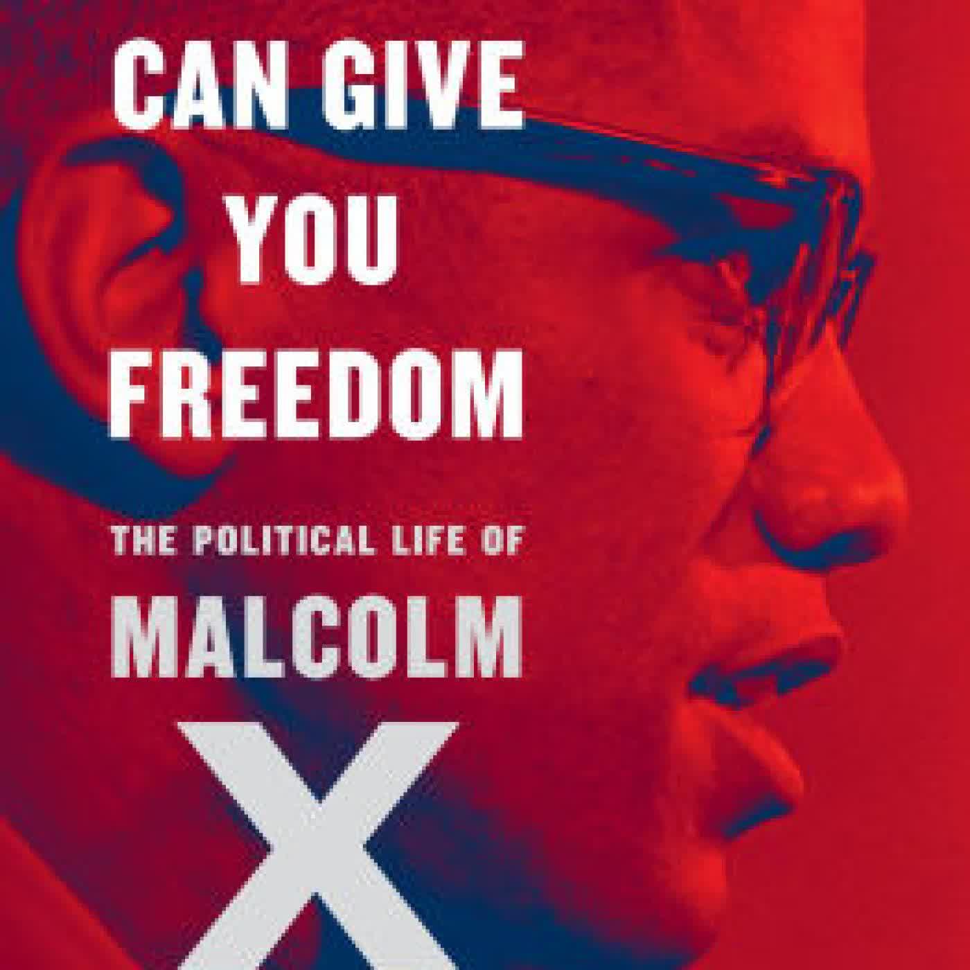 Read online: Nobody Can Give You Freedom: The Political Life of Malcolm X by Kehinde Andrews