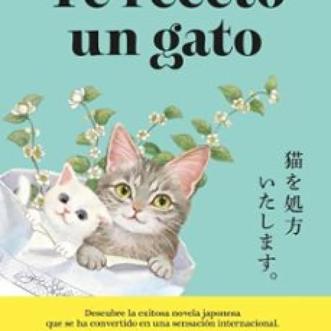 TE RECETO UN GATO Syou Ishida