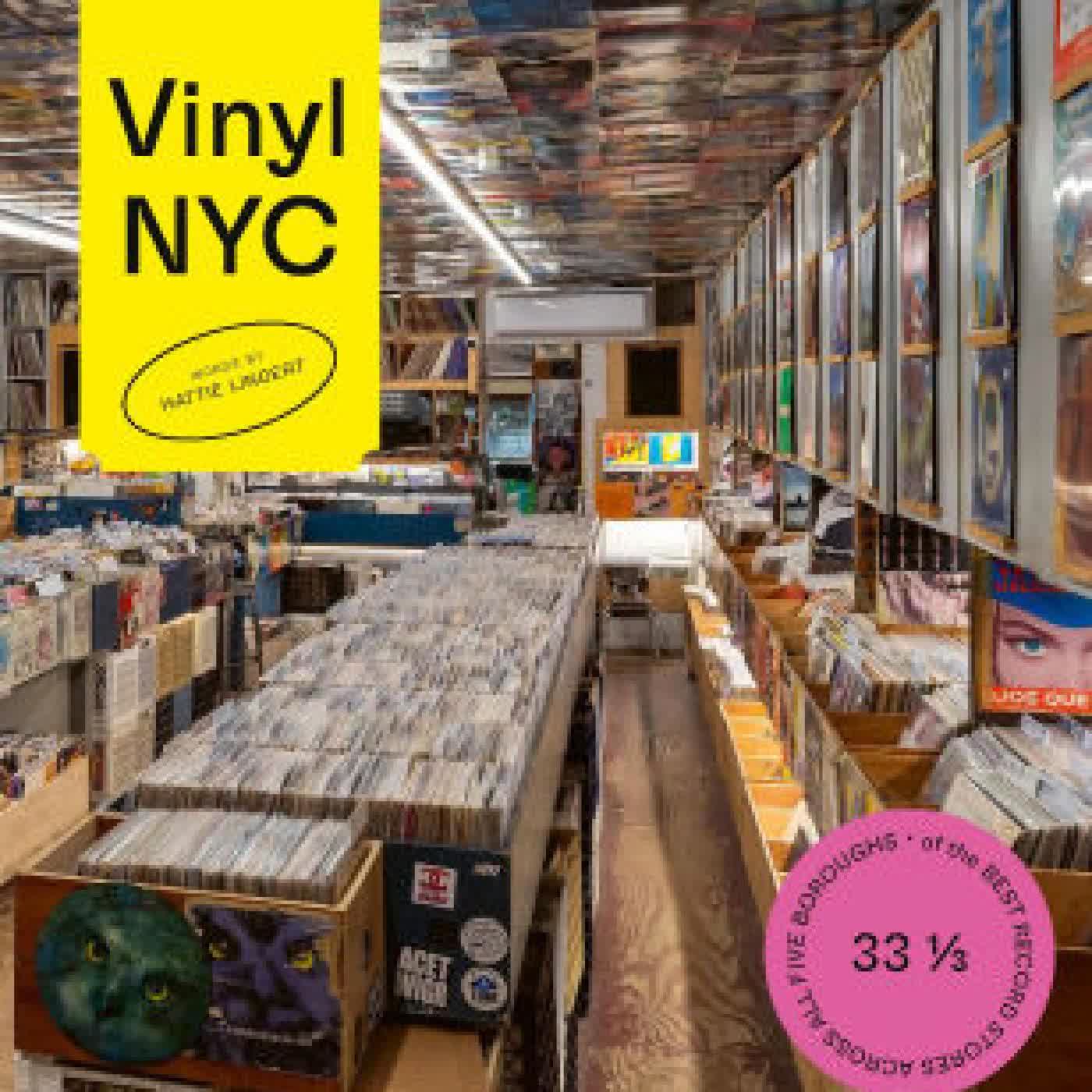 VINYL NYC: 33 1/3 of the Best Record Stores Across All Five Boroughs by James and Karla Murray, Hattie Lindert on Iphone New Format