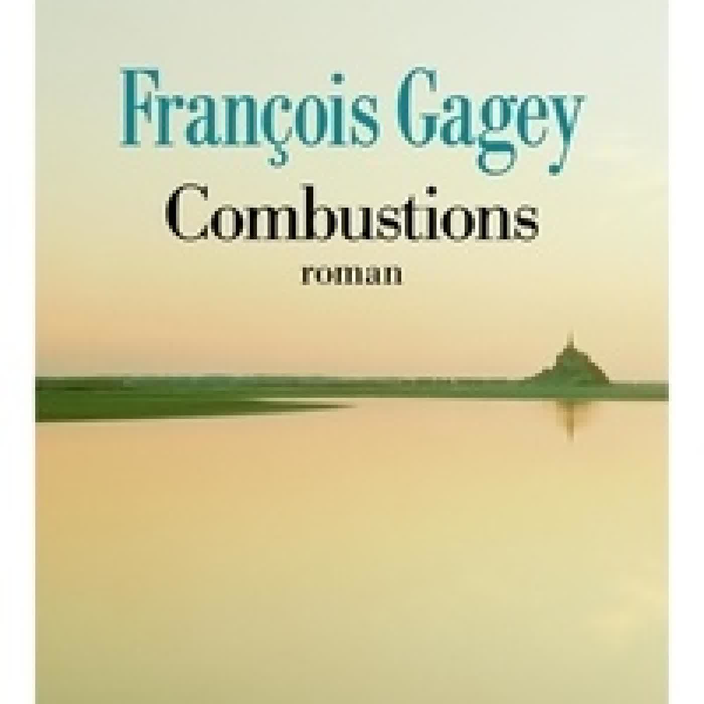 Télécharger Pdf Combustions