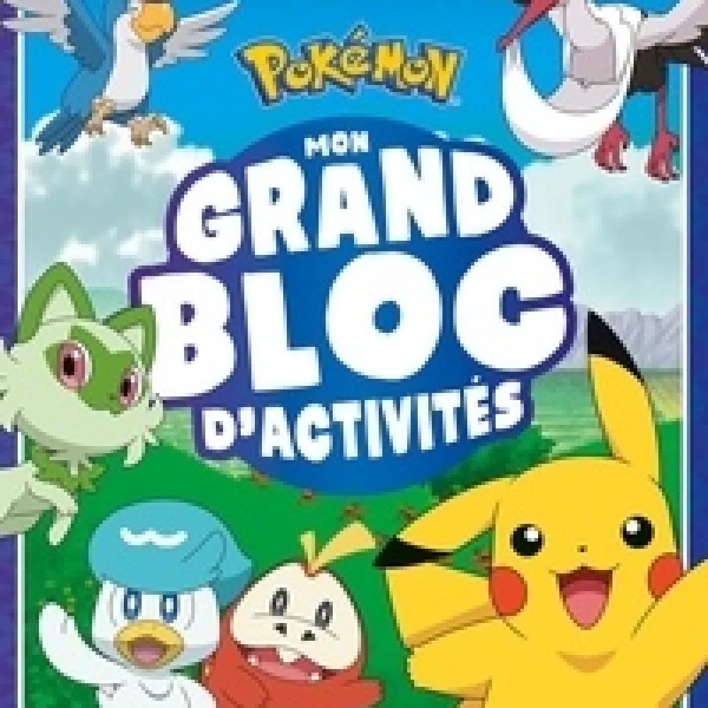 Télécharger Pdf Mon grand bloc d'activités