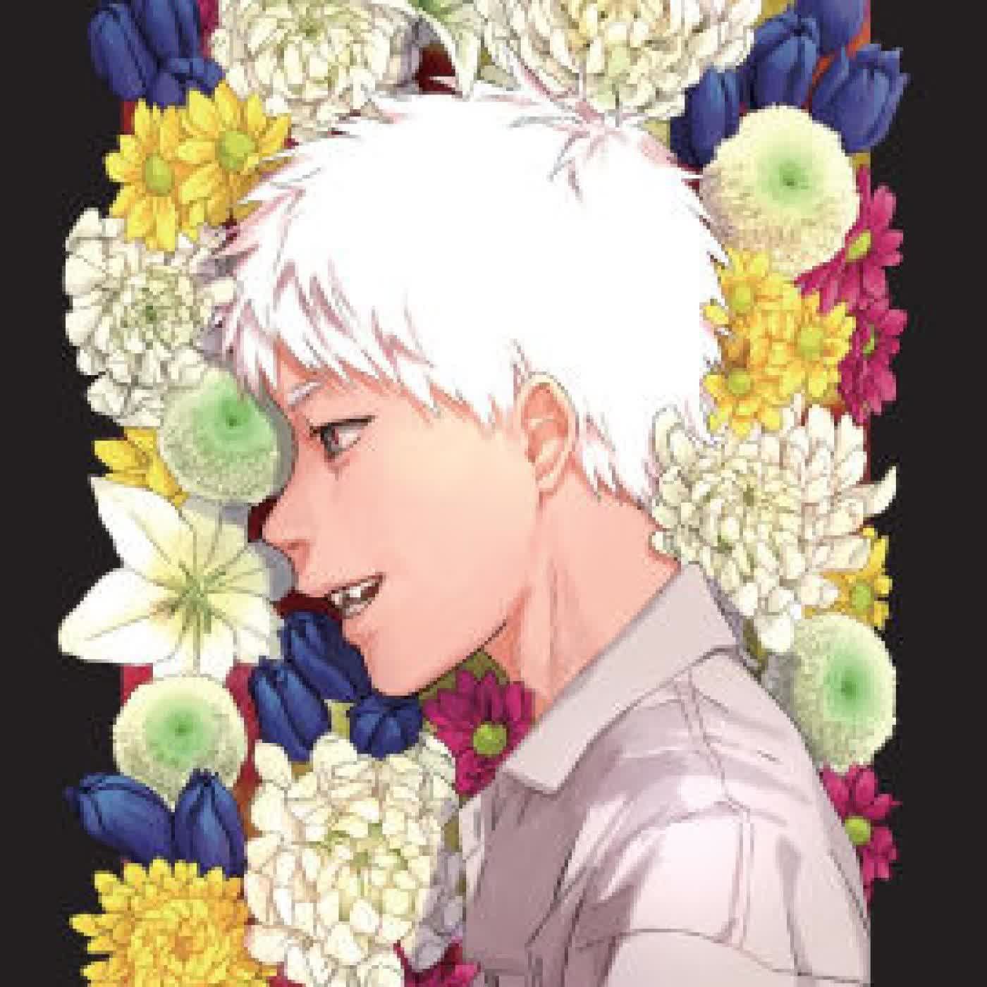 The Summer Hikaru Died, Vol. 1 (light novel) by Mio Nukaga, Ajani Oloye on Iphone New Format