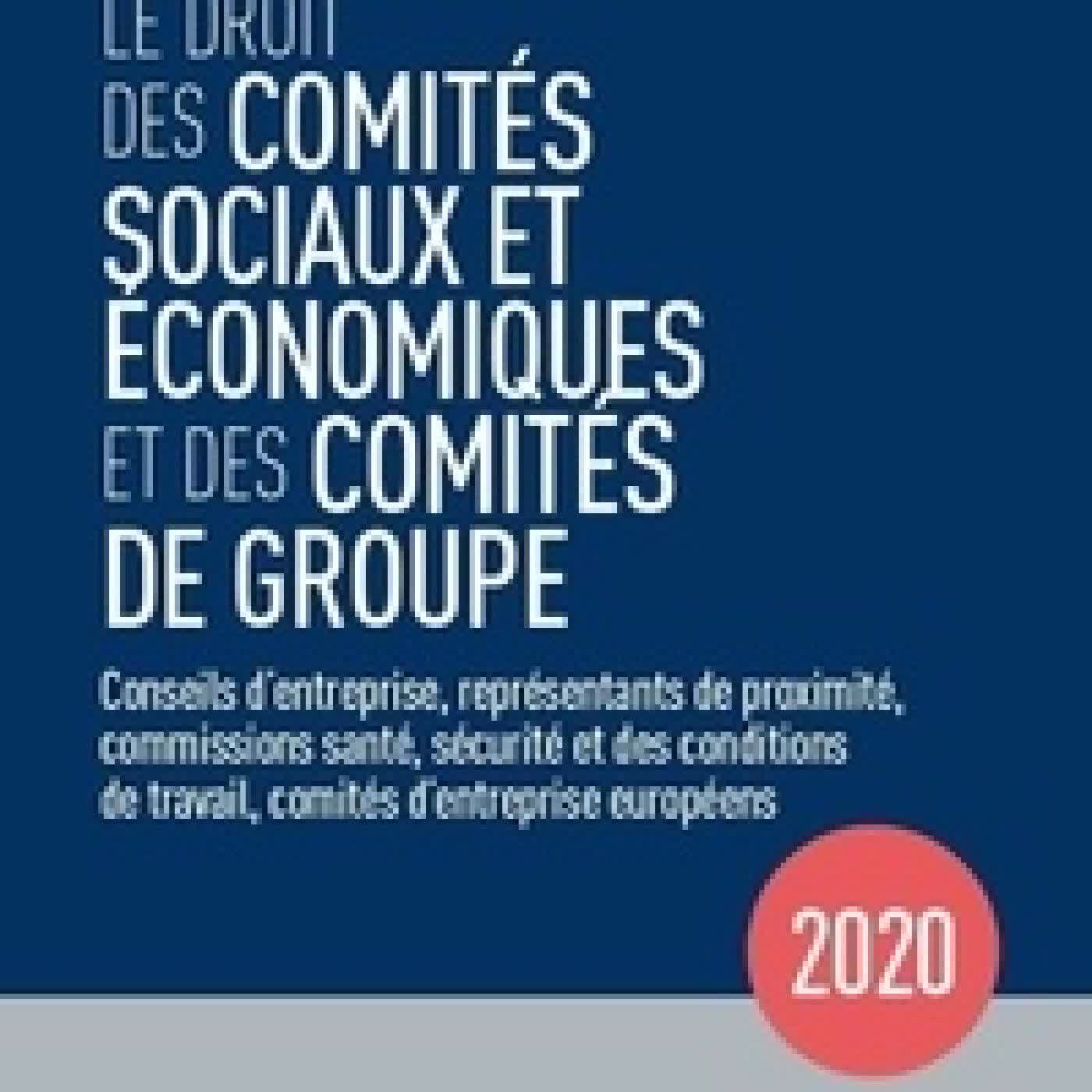 Lire en ligne : Le droit des comités sociaux et économiques et des comités de groupe - Commissions santé, sécurité et des conditions de travail, représentants de proximité, conseils d'entreprise, comités d'entreprise européens