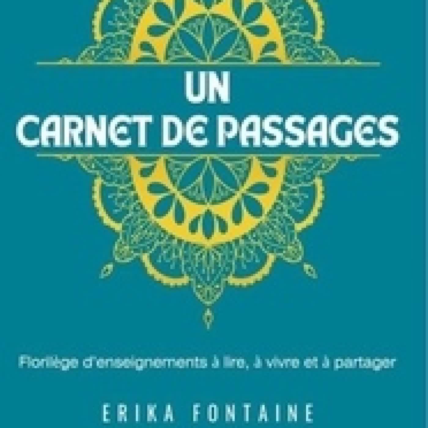 Lire en ligne : Un carnet de passages - Florilège d’enseignements à lire, à vivre et à partager