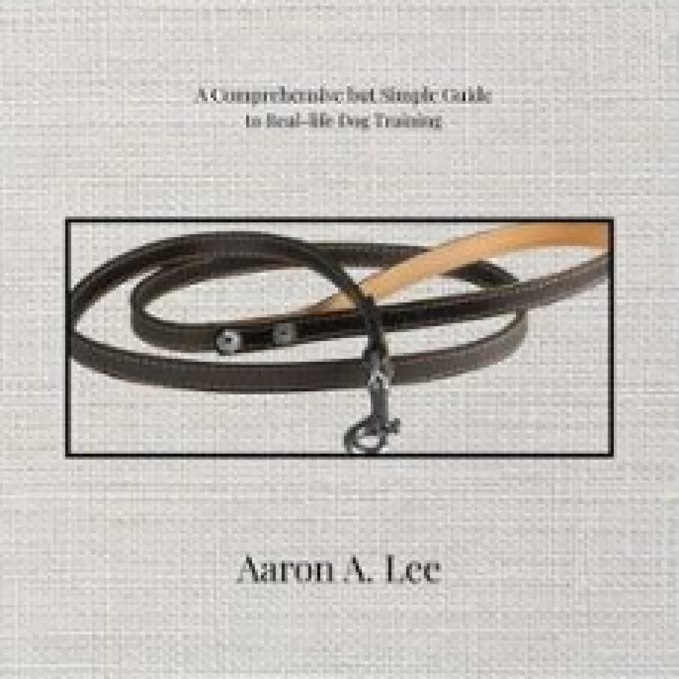 I LIKE MY DOG UNTIL I DON'T: A COMPREHENSIVE BUT SIMPLE GUIDE TO REAL-LIFE DOG TRAINING AARON A LEE