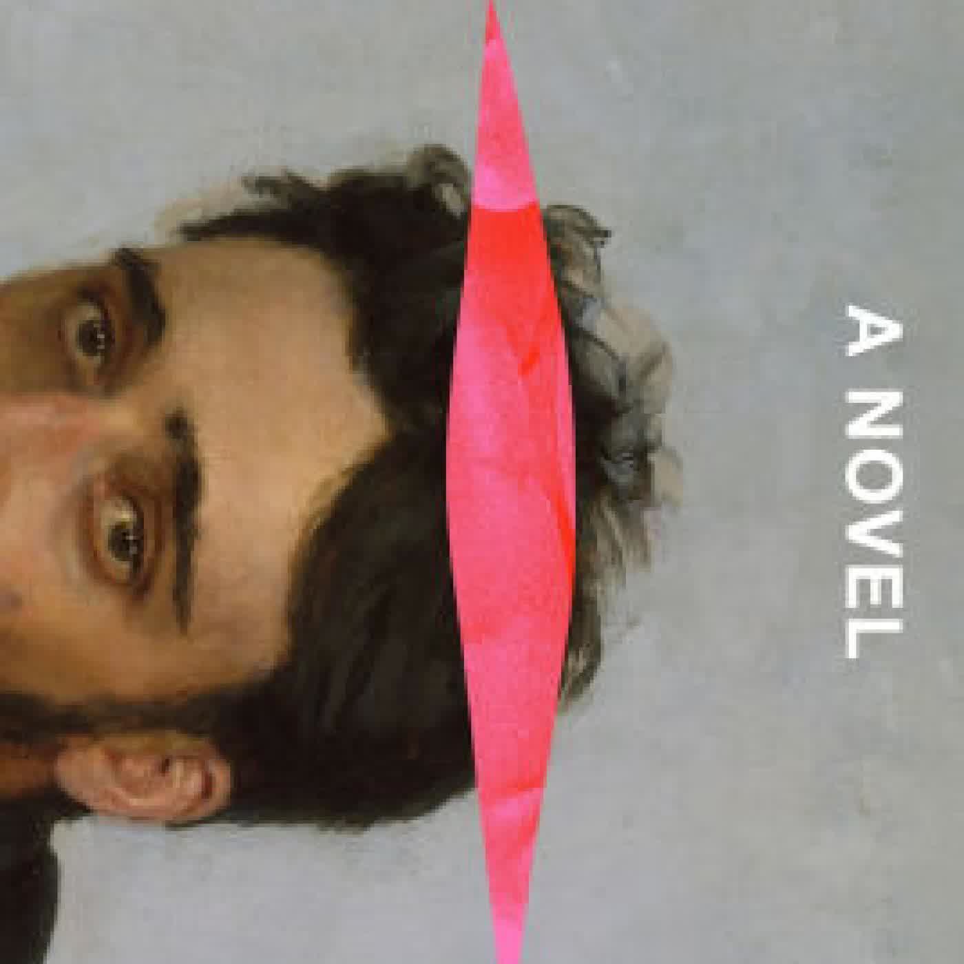 Read online: Open Wide: A Novel by Jessica Gross