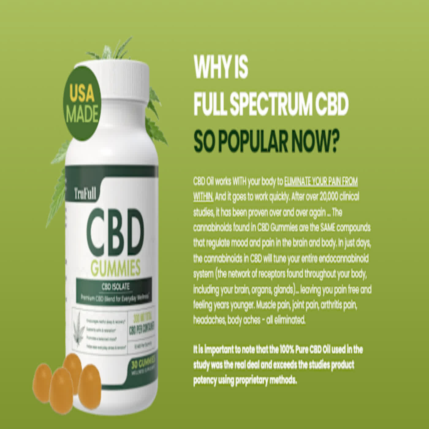 Forest Mountain CBD Gummies An Honest Customer 2026 Review!