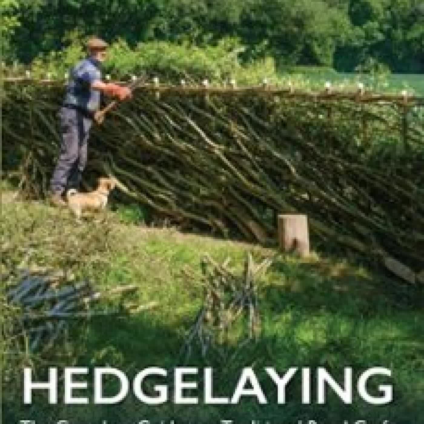 HEDGELAYING NIGEL ADAMS