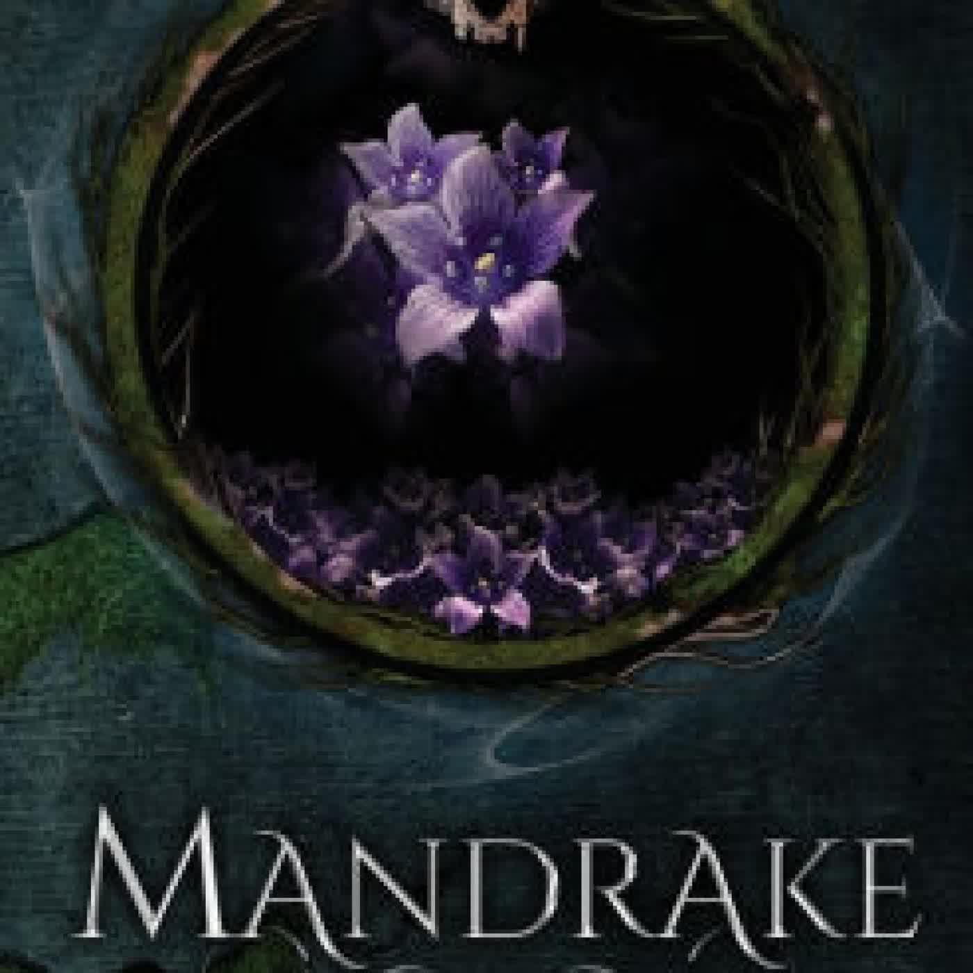 Read online: Mandrake by Jennifer Allis Provost