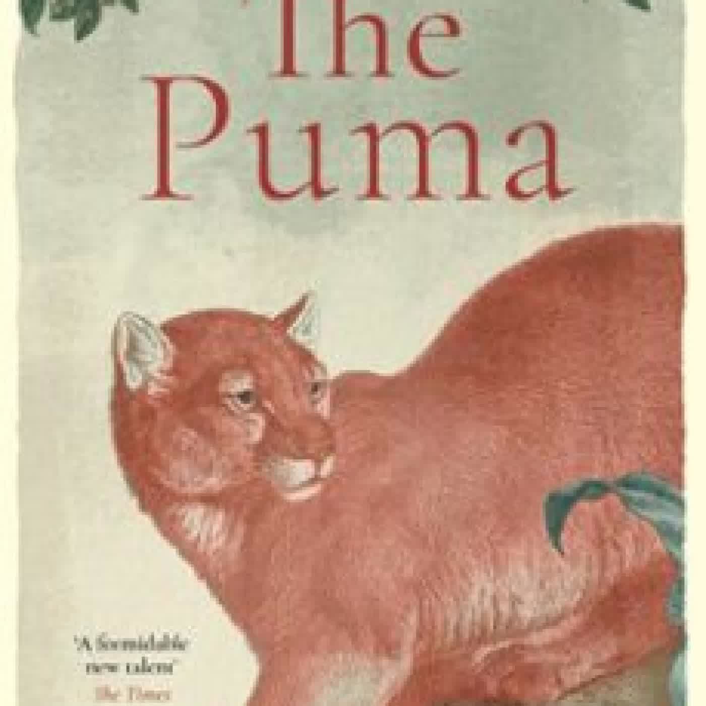 THE PUMA DANIEL WILES