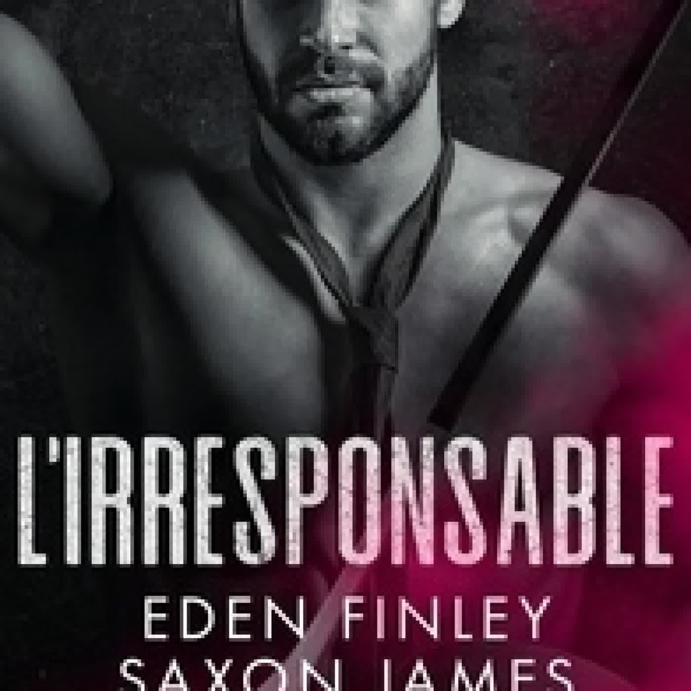 {téléchargement} Les dieux du Hockey Tome 2