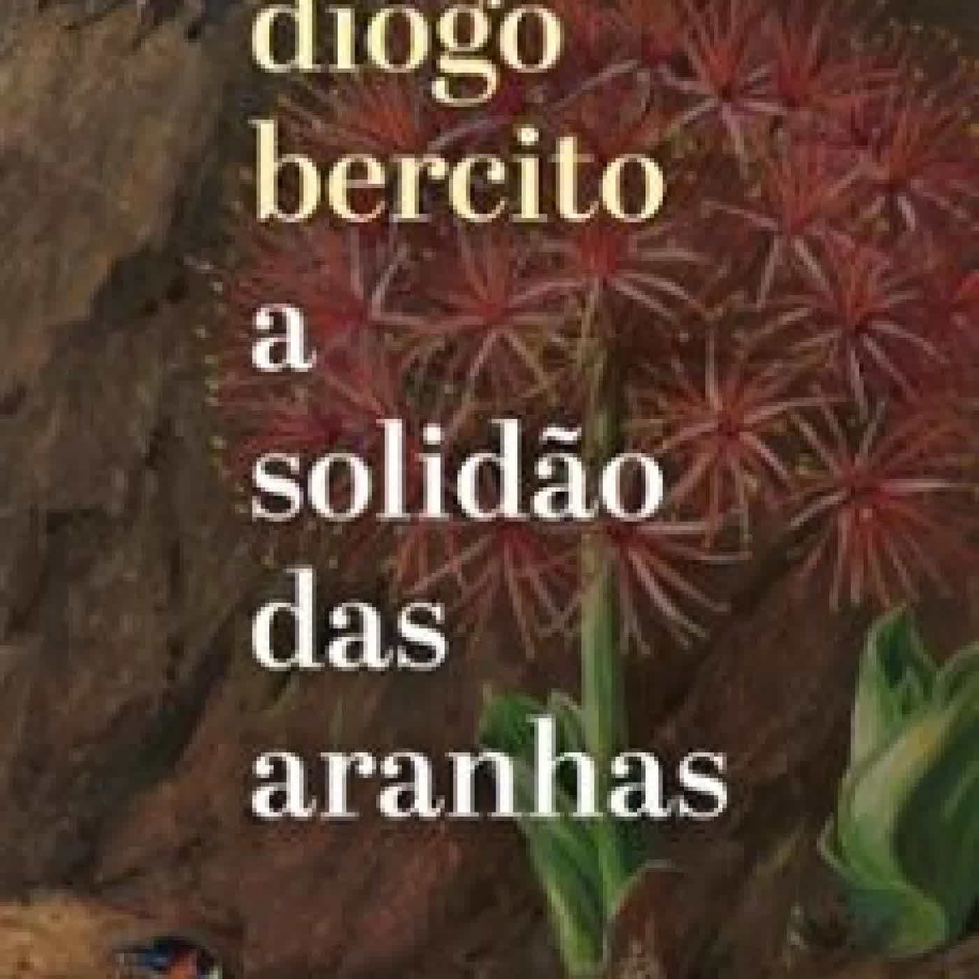 A SOLIDÃO DAS ARANHAS DIOGO BERCITO