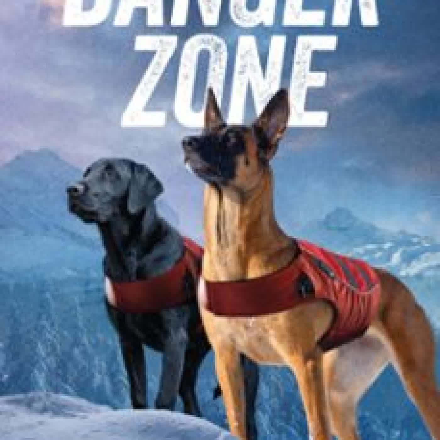 DANGER ZONE CINDI MYERS