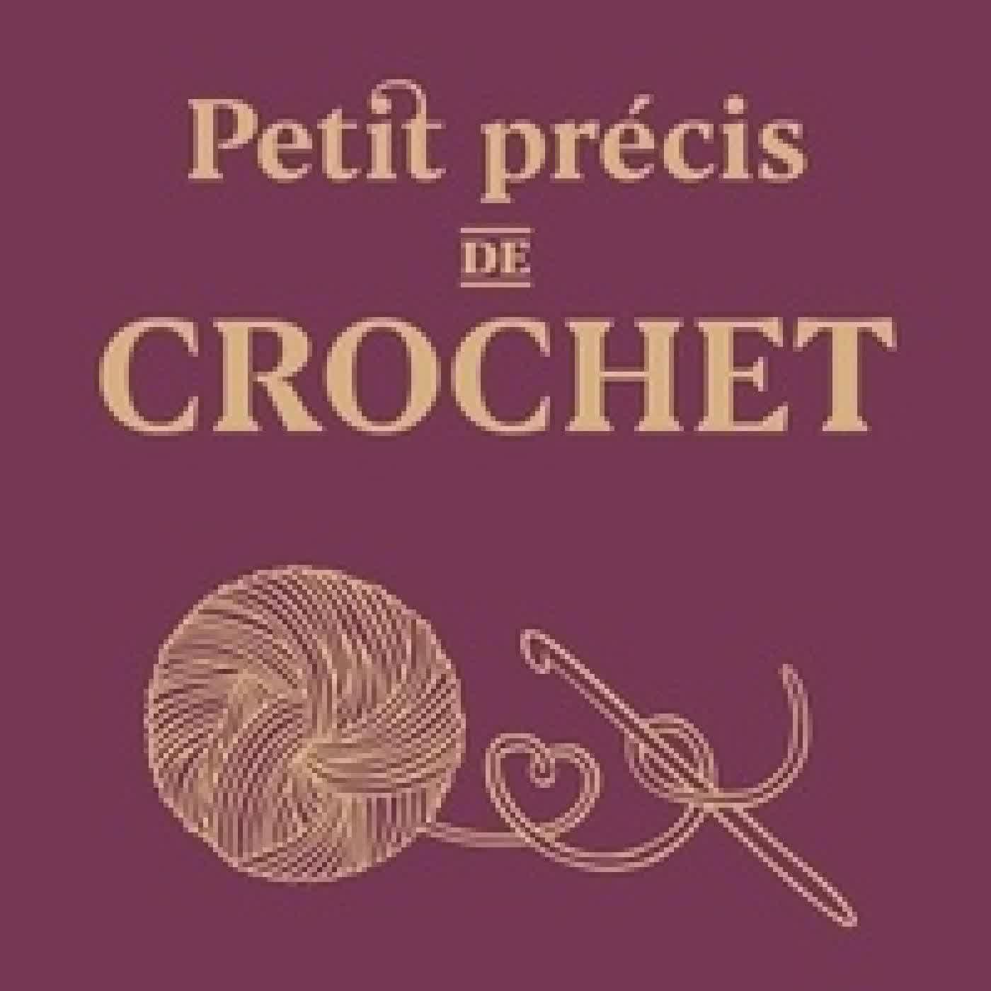 Télécharger Pdf Petit précis de crochet