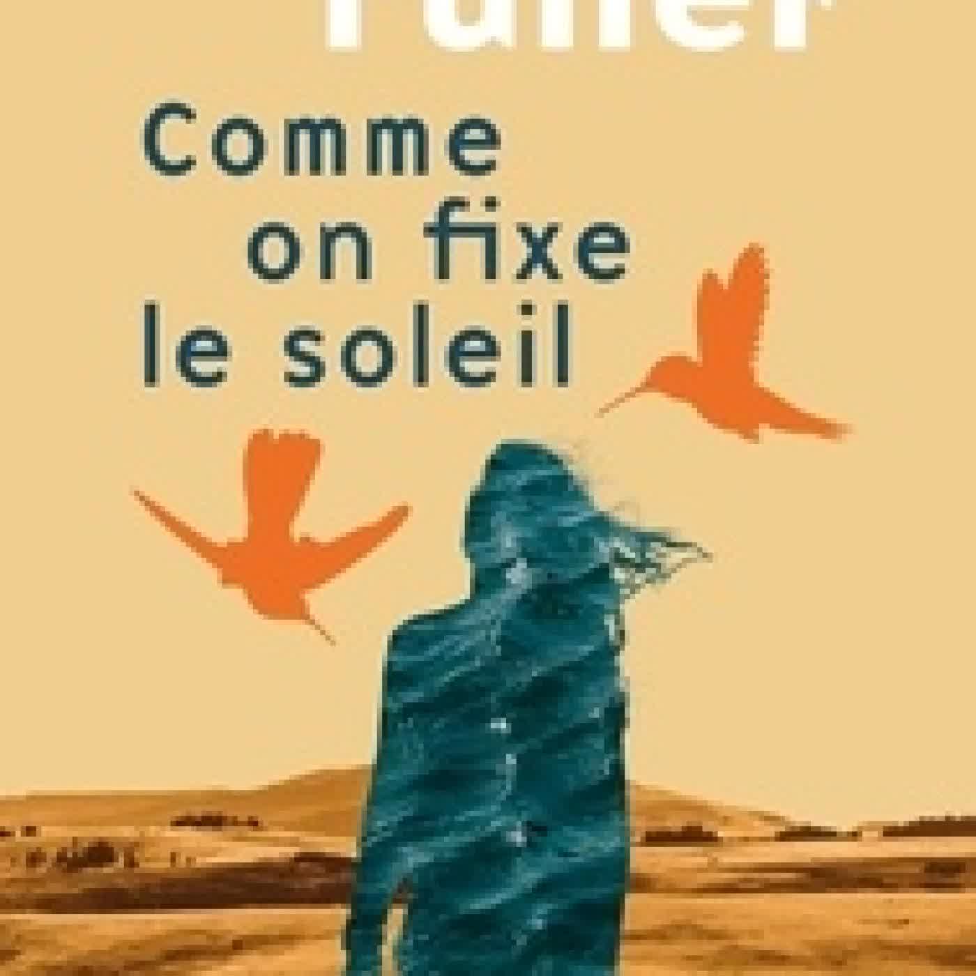 Télécharger Pdf Comme on fixe le soleil