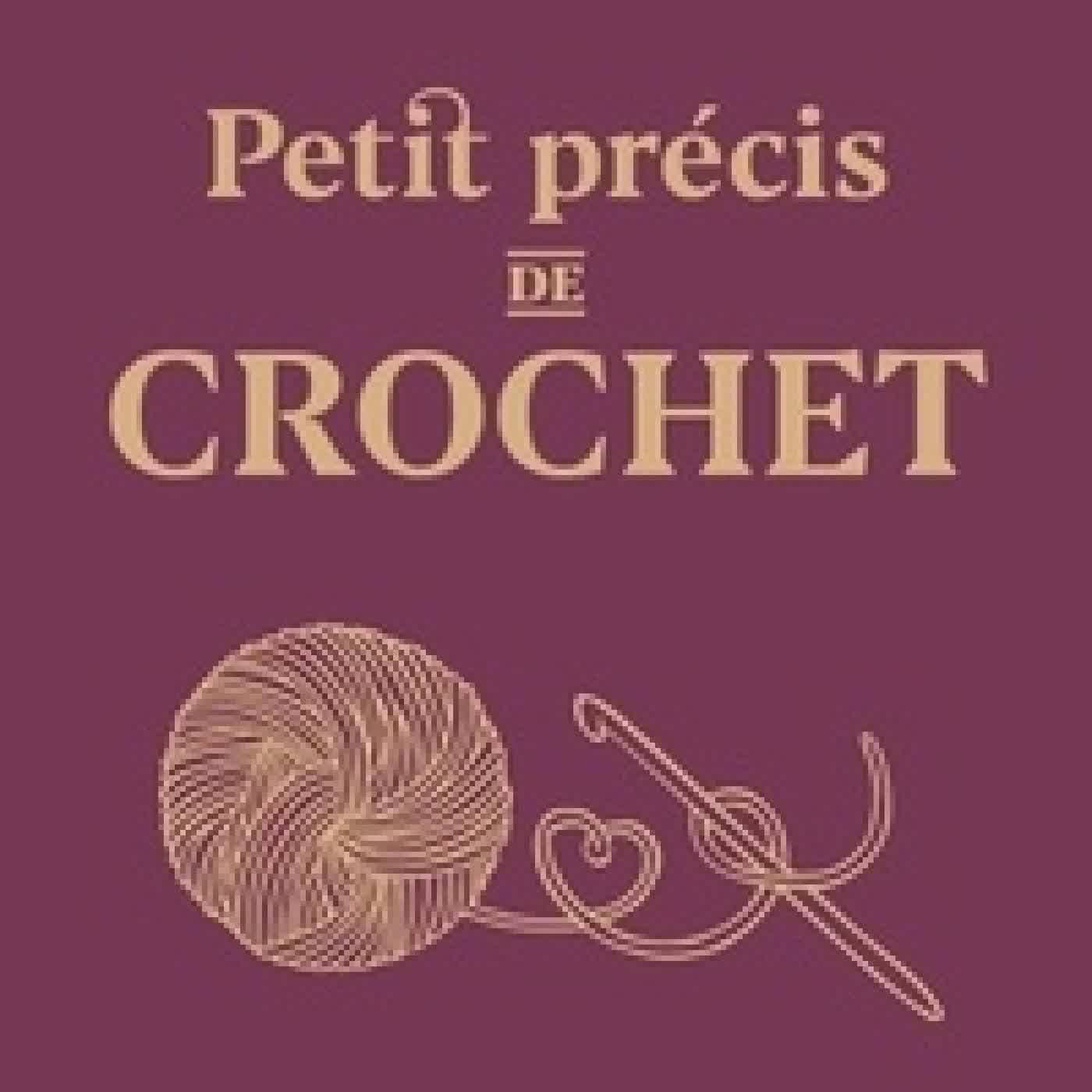 Lire en ligne : Petit précis de crochet