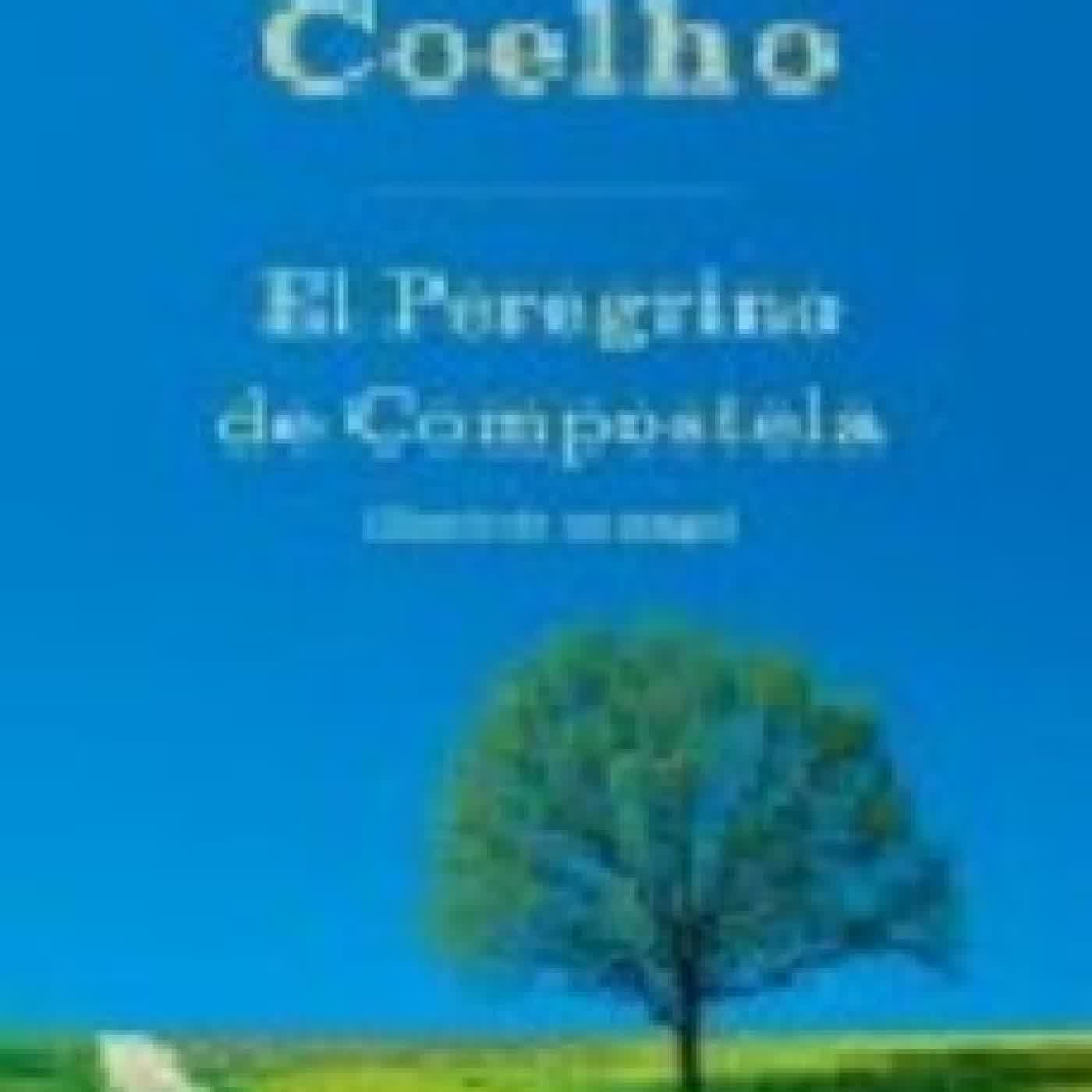 EL PEREGRINO DE COMPOSTELA PAULO COELHO