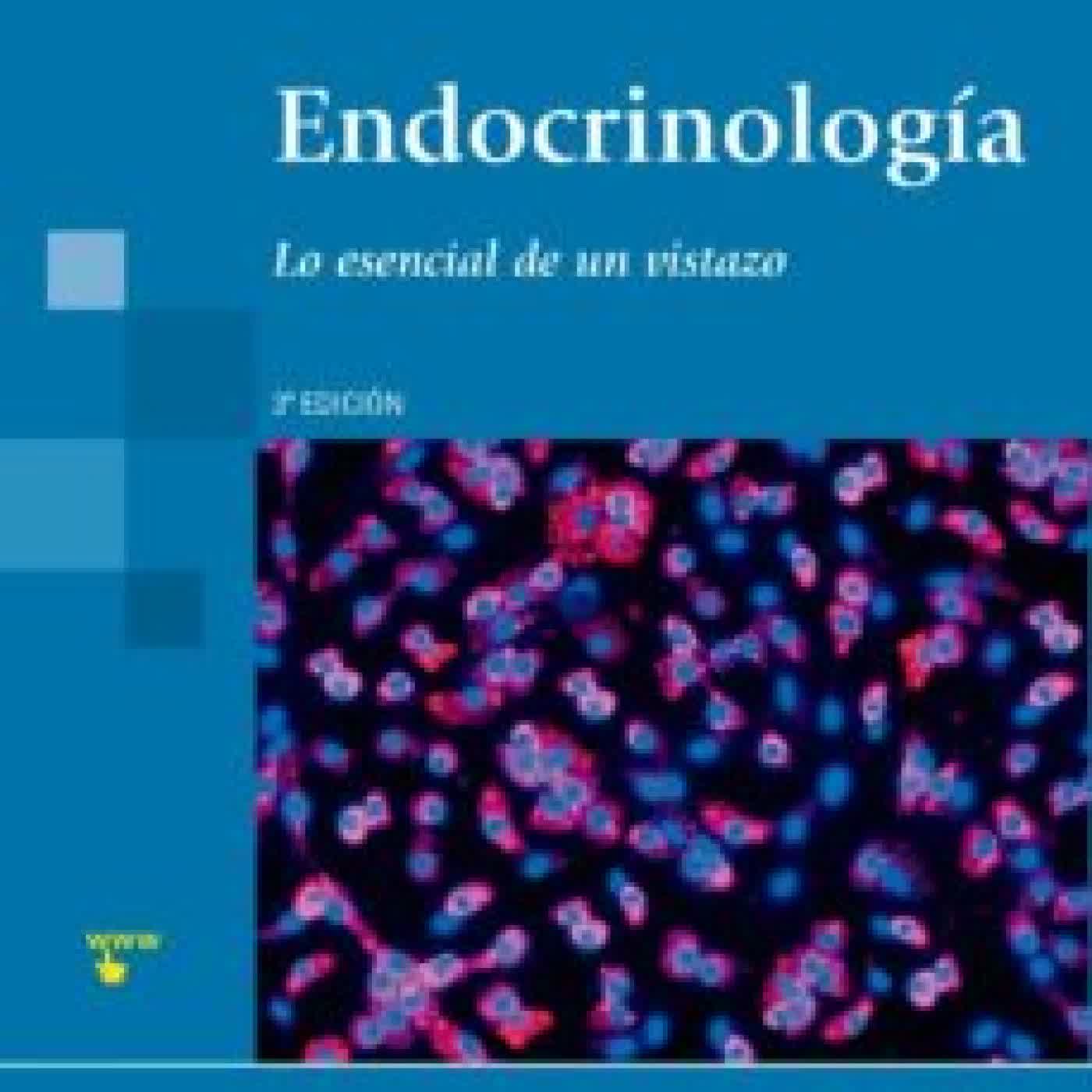 ENDOCRINOLOGÍA. LO ESENCIAL DE UN VISTAZO 3ª ED BEN/WOOD, DIANA GREENSTEIN