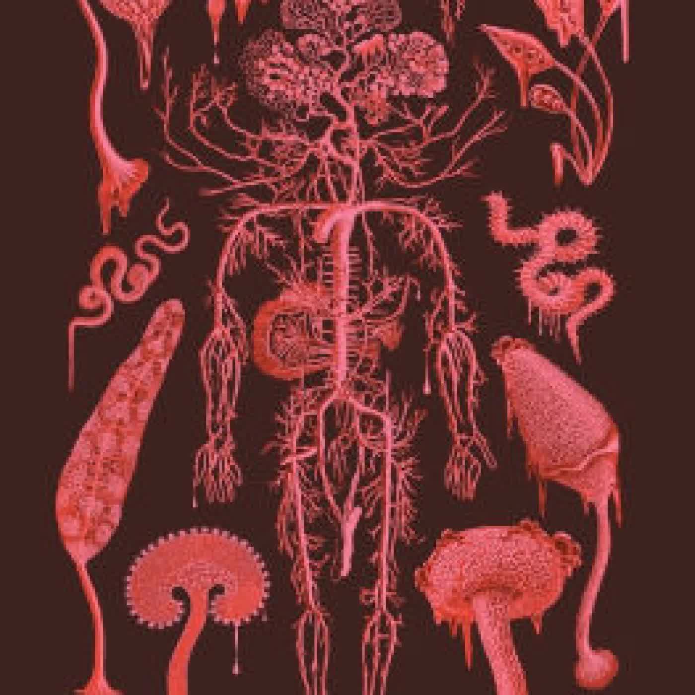 Read online: Root Rot by Saskia Nislow