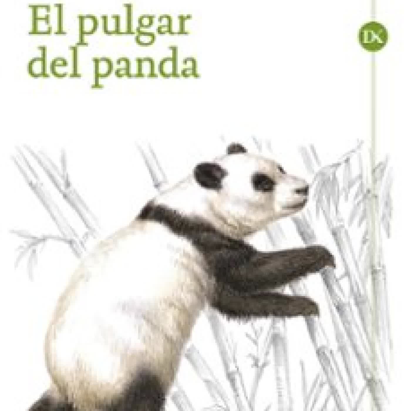 EL PULGAR DEL PANDA Stephen Jay Gould