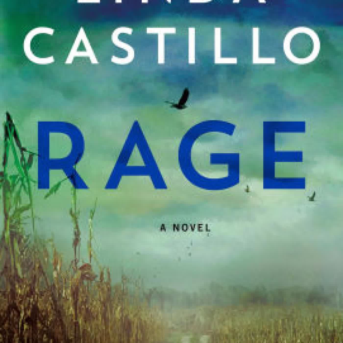 Rage: A Novel by Linda Castillo on Iphone New Format